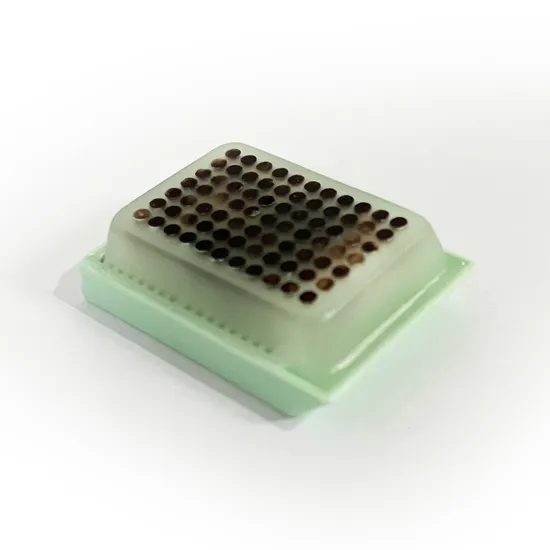 Suprimentos médicos descartáveis ​​Bloco de microarray de tecido usado para exame de material de pesquisa científica